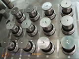 pet & rubber mould